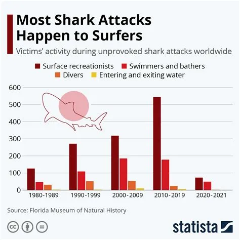 How Many Deaths Are Caused By Sharks Each Year at Erica Laforge blog