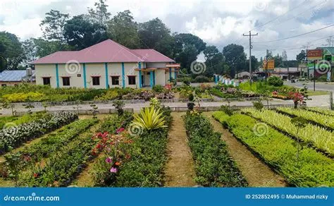 Kebun Bunga Yang Luas,di Berastagi,sumatera Utara Indonesia a Large ...