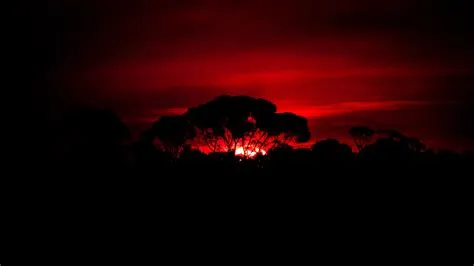 Creepy Nature Wallpapers