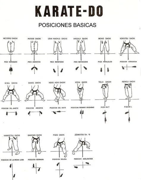 Dachi. | Shotokan karate, Martial arts sparring, Karate training