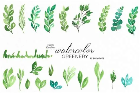 Leaf clipart watercolor - Results: 15 images for Leaf watercolor
