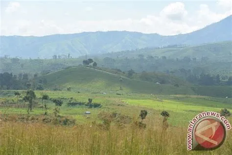 Wisatawan asal Jember meninggal di Gunung Ijen - ANTARA News