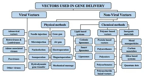 Appraisal for the Potential of Viral and Nonviral Vectors in Gene ...