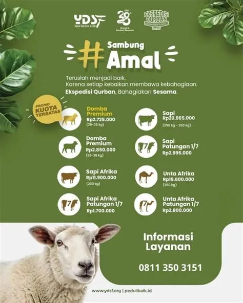Yayasan Dana Sosial Al Falah Cab. Jember (@ydsf_jember) • Instagram ...