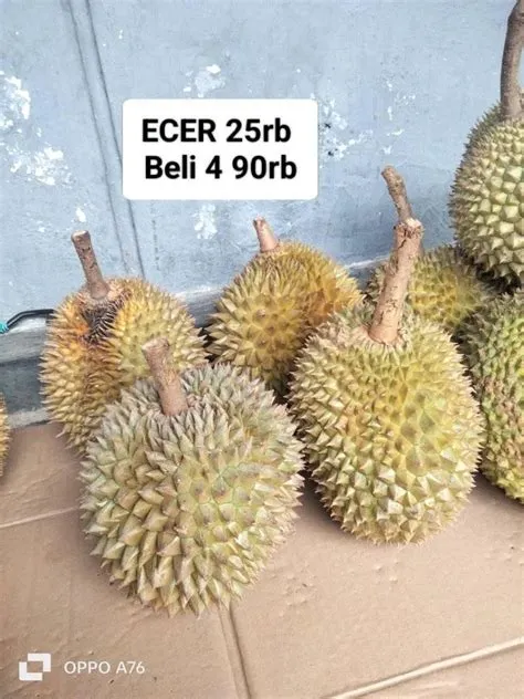 JEMBER KULINER | SPESIAL JANUARI! | Facebook