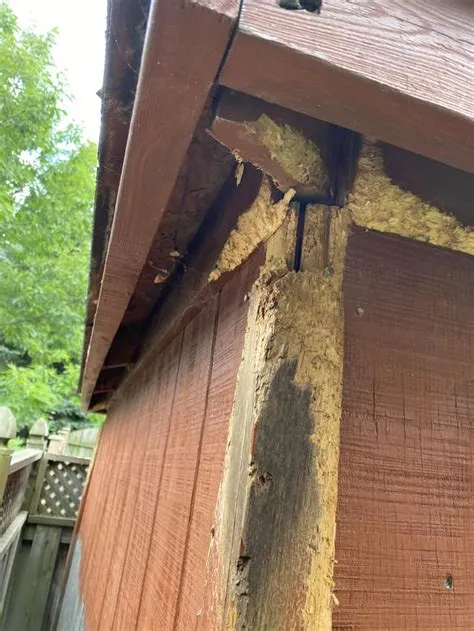 Bad Squirrels : r/squirrels