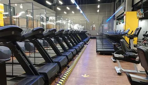 How to Import Gym Equipment from China to Australia: A Guide for ...