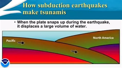 Tsunami Warning at PTWC | PDF