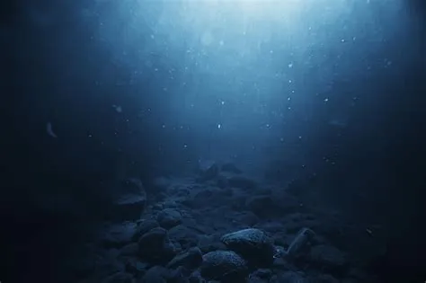 湖の抽象的な水中背景、きれいな淡水 | プレミアム写真