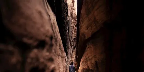 Python: Updating and Appending pandas DataFrame using Dictionary - DEV ...