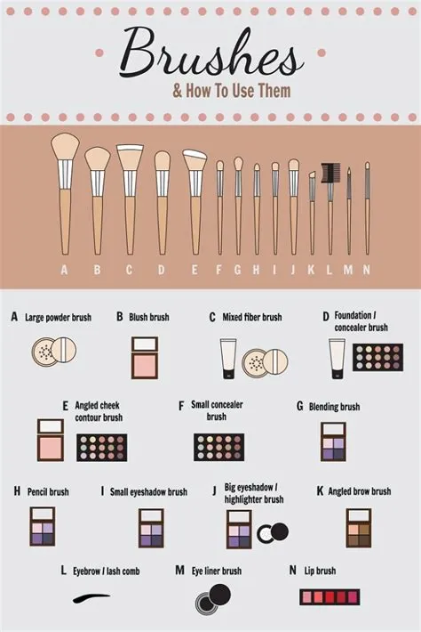 How To Know What Brushes To Use For Makeup at Armando Jackson blog