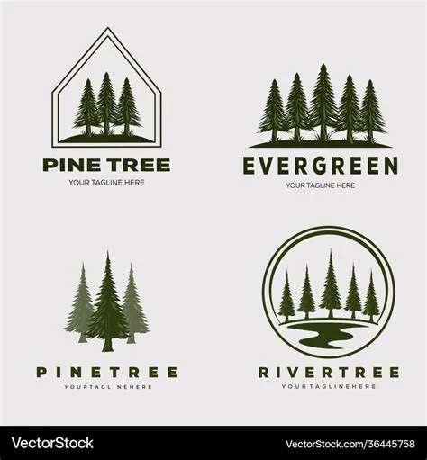 Pine tree forest set logo design Royalty Free Vector Image
