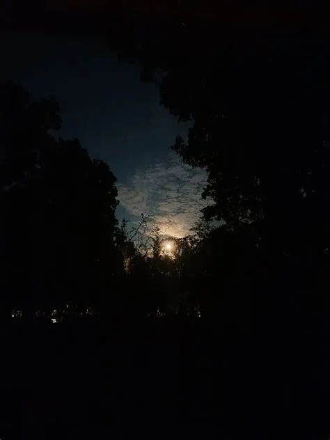 Full Moon Natural Spectacle - Free photo on Pixabay