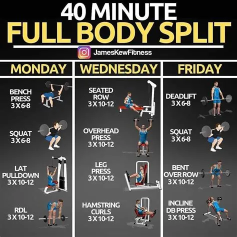by Riane Tynan on workouts- push, pull, legs | Full body workout ...