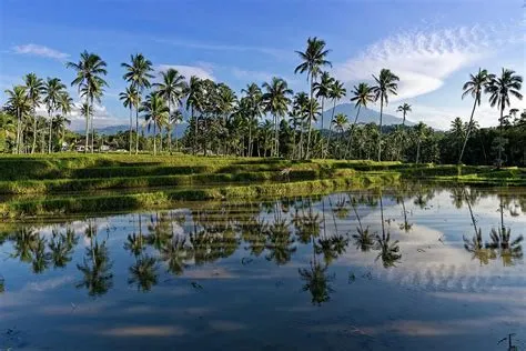 探遊爪哇島:深入印尼文化心臟,探索歷史和自然的完美指南