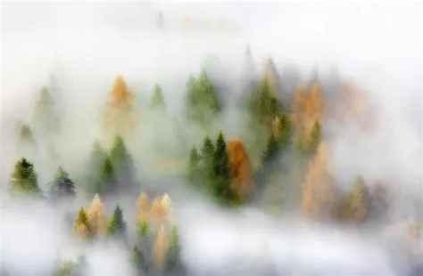 Fall Wall Murals | Limitless Walls - Wall Design Blog