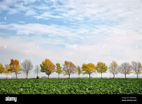 September nature hi-res stock photography and images - Alamy