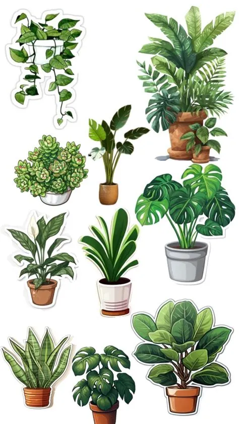 Naturali | Grass painting, Flower background wallpaper, Mini plants