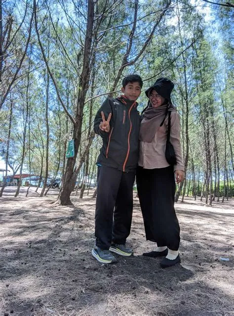 Pantai Cemara, Pantai Eksotik dengan Pepohonan Cemara Teduh di Jember ...