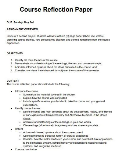 29+ Reflection Paper Examples to Download