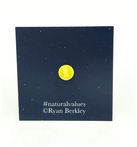 Enamel Pin - Full Moon - Natural Values – Berkley Illustration