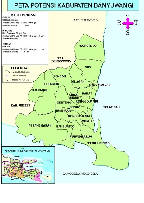 POTENTIAL MAP OF BANYUWANGI REGENCY