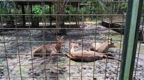 Wisata Taman Super Galaxy, Rekomendasi Destinasi Piknik Estetik di ...