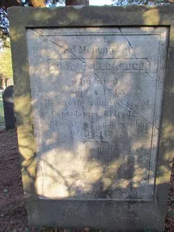 Arduino Nano Board Guide Pinout Specifications Comparison/arduino Nano ...