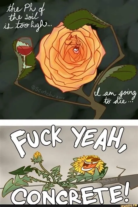 by Nola Gene on Rolling on the floor laughing 🤣 | Funny pictures ...