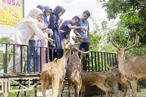 Rekreasi Taman Botani Jember: Harga Tiket dan Wahana Terbaru 2023