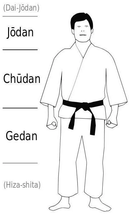 de Helena Lunding Hultqvist en karate | Katas de karate, Tecnicas ...