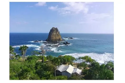 16 Rekomendasi Tempat Oleh-Oleh Khas Jember Super Lengkap Dari Prol ...