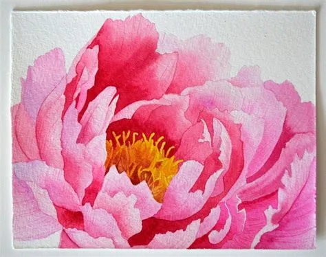 Pink peony original watercolor painting beautiful pink