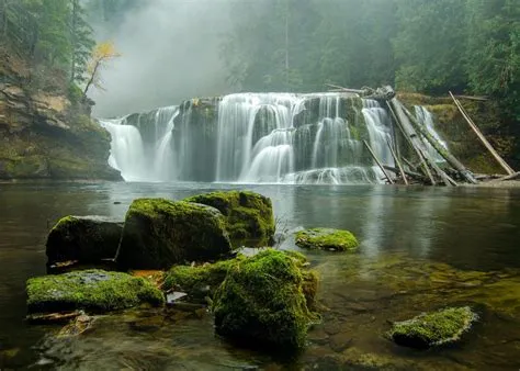 Washington Forest Wallpapers - Top Free Washington Forest Backgrounds ...