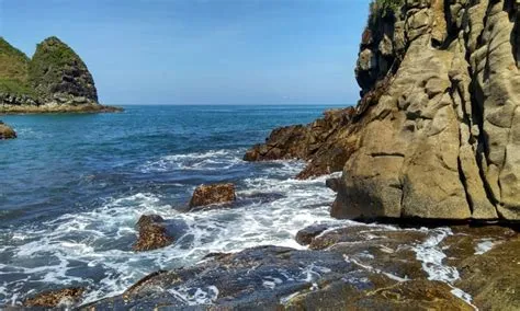 Pantai Payangan Jember – Daya Tarik, Aktivitas Piknik, Lokasi & Harga ...