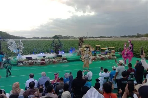 Festival Jember Kota Cerutu Indonesia, Ada Fashion Show di Tengah Kebun ...