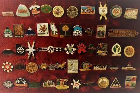 Ski Pin Collection : r/skiing