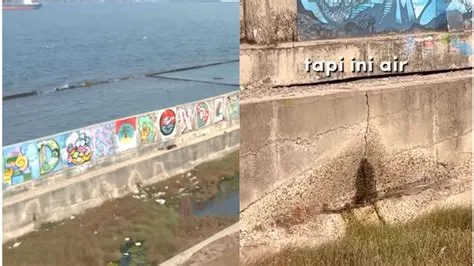 Foto Viral Video Tanggul Laut Raksasa Jakarta Mulai Bocor, Jakarta Mau ...