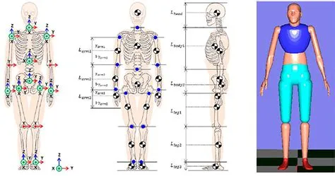 Frontiers | Identification of Human Walking Balance Controller Based on ...