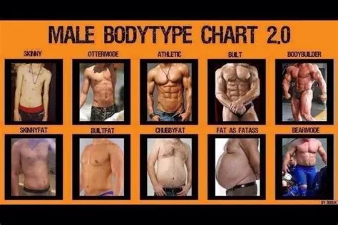 Men Body Type Chart - Quick Chart Maker