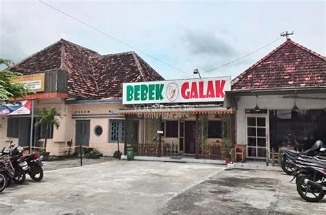Bebek Galak, Tempat Makan di Kota Jogja