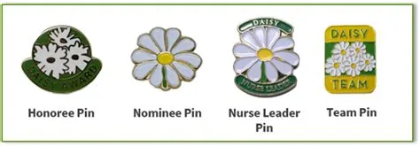 image of DAISY pins