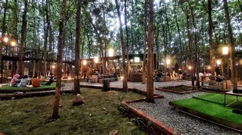 Hutan Jati Cafe and Gelato, Tempat Nongkrong Hits di Purwakarta ...