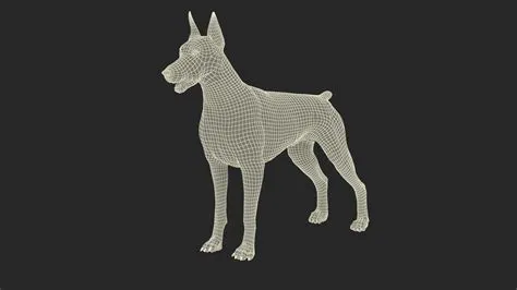 Doberman Pinscher Dog Fur 3D Model - TurboSquid 2232872