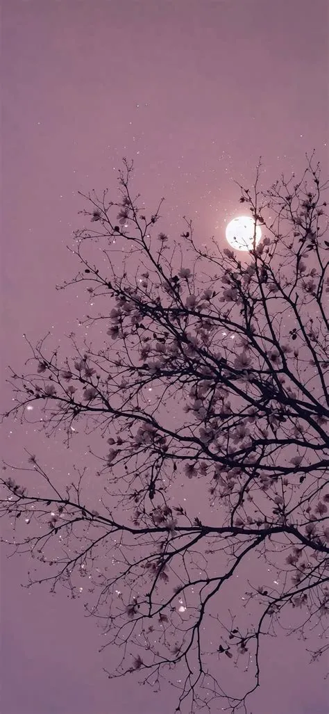 by Juliana Gonzalez on Fondos de pantallla in 2025 | Pretty ...