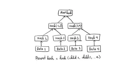 Ethereum Patricia trie - Merkle tree, Radix tree, and trie node | by ...