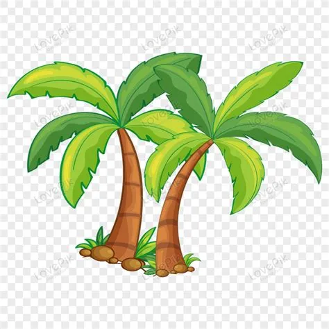 Gambar Ilustrasi Pohon Kelapa Kartun Terbaik Unduh Gratis di Lovepik