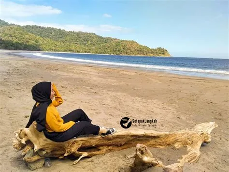 Selain Pantai Bali, Pantai Jember Ini Punya Pesona Sangat Cantik