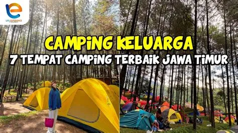 7 LOKASI TERBAIK CAMPING KELUARGA DI JAWA TIMUR | Wisata Jawa Timur ...