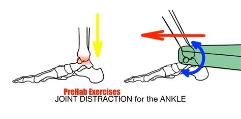 The Art of Stretching - PreHab Exercises | Exercise, Mobility exercises ...